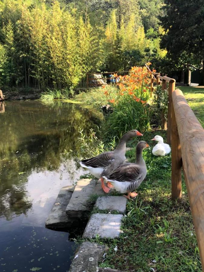 ESPERIA casa vacanza Trieste Esterno foto